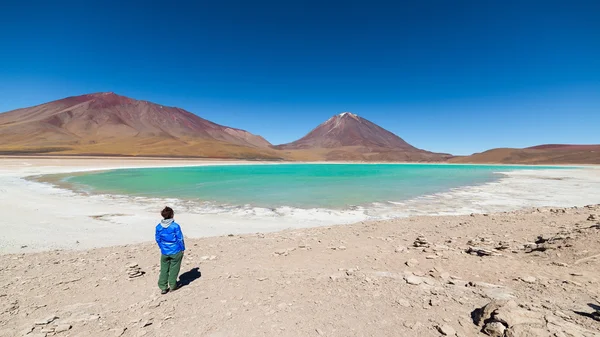 Zielonej laguny i wulkanu Licancabur w boliwijskich Andach — Zdjęcie stockowe