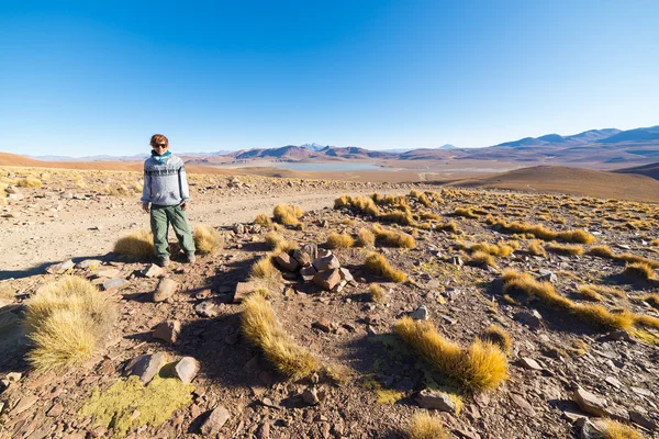 在膨胀的安第斯高地，玻利维亚南部旅游 — 图库照片