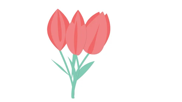 üç kırmızı lale