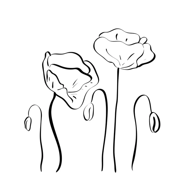 Λουλούδια διάνυσμα σκίτσο παπαρούνες χέρι. — Διανυσματικό Αρχείο
