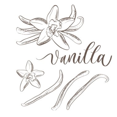 Vanilya - resimli el yapımı harf yazması.