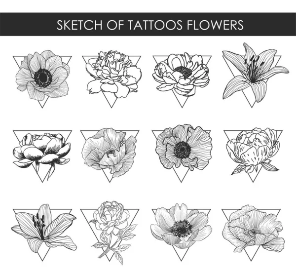 Esboço Flores Tatuagens Elementos Vetoriais — Vetor de Stock