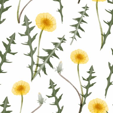 Suluboya karahindiba çiçeği. Dikensiz desen..