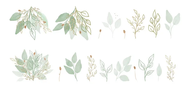 Vector Big Set Botanic Elements Wildflowers Herbs Leaf Green Gold — Stock Vector
