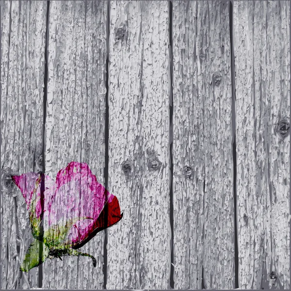 抽象的な背景のバラ — ストックベクタ