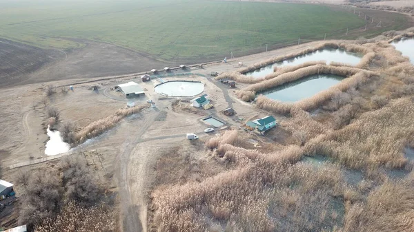 Bulutlu bir havada baharda bir tarlanın hava fotoğrafçılığı. Yüksek kalite fotoğraf