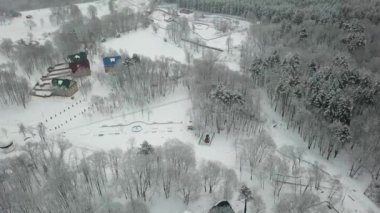 Kış ormanının hava fotoğrafçılığı. Karla kaplı uzun çam ağaçları