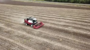 Yazın güneşli bir günde yeşil orman ve tarlanın hava fotoğrafçılığı