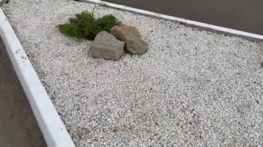 Bulutlu bir günde dekoratif taş çimlerin manzarası