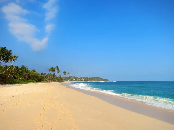 Pusty czysta plaża z palmami, Kamburugamuwa, Mirissa, Sri Lanka — Zdjęcie stockowe