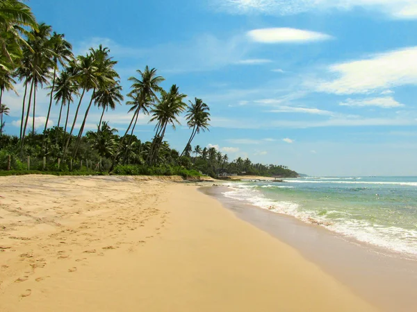 Playa tranquila con palmeras y arena, Sri Lanka — Foto de Stock