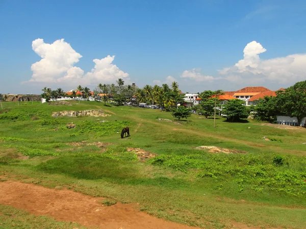 View of fields at Fort Galle, Sri-Lanka — 스톡 사진