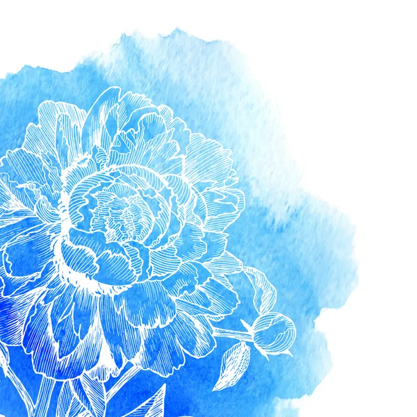 Vector ink drawn white peony at blue watercolor — Stok Vektör