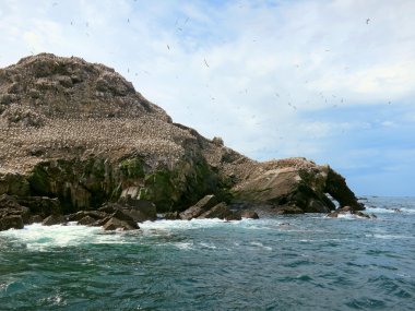 Kuşlara yedi adalar, Brittany, Fransa