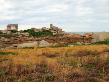 Kayalar ve bitkiler Cote de granit Rose, Brittany Fransa