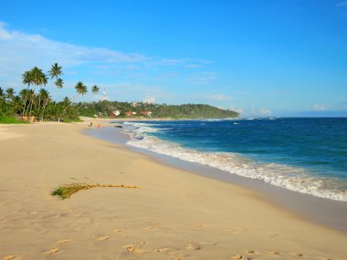 Boş tropikal plaj beyaz kum, palmiye ağaçları ve turkuaz okyanus mavi gökyüzü altında