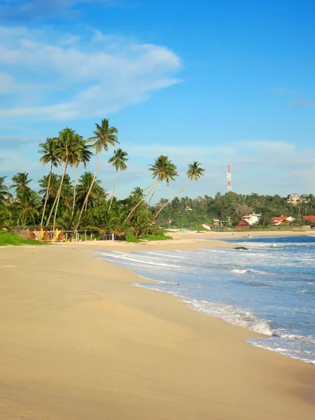 Порожній тропічний пляж з білим піском, пальмами та бірюзовим океаном під блакитним небом — стокове фото