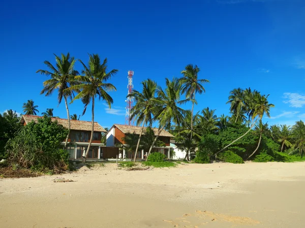 Casa entre palmeras en la playa —  Fotos de Stock