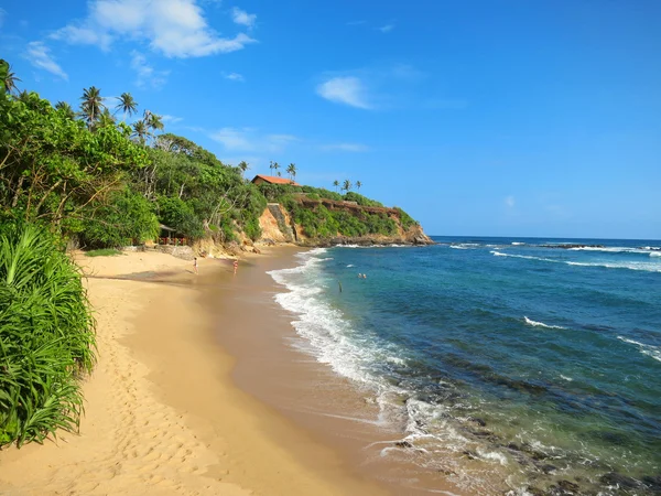 Praia oceânica vazia com verduras e areia, Sri Lanka — Fotografia de Stock