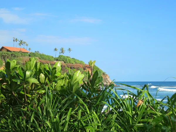 Praia oceânica vazia com verduras e areia, Sri Lanka — Fotografia de Stock