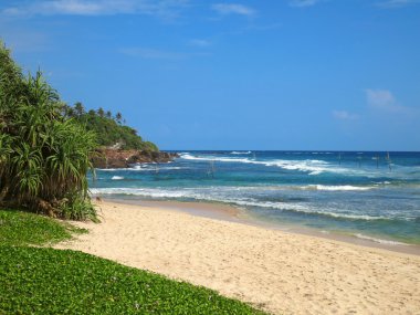 Weligama Bay, Sri Lanka boş plajda Yeşiller