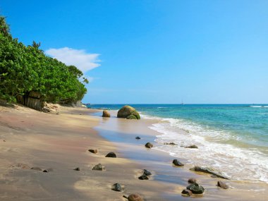 Weligama Bay, Sri Lanka boş plajda Yeşiller