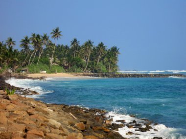 Boş plaj Yeşiller, kayalar ve kum, Sri Lanka