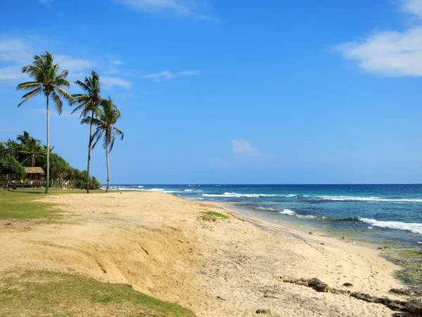 Palmeras verdes en la playa vacía en la bahía de Weligama, Sri Lanka — Foto de Stock