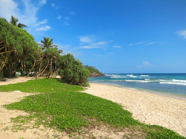 Greens at the empty beach in Weligama bay, Sri Lanka