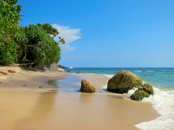 Порожні пляжі з зеленню, скелі та пісок, Шрі-Ланка — стокове фото