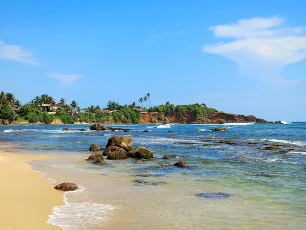 Pantai kosong dengan sayuran, batu dan pasir, Sri Lanka — Stok Foto