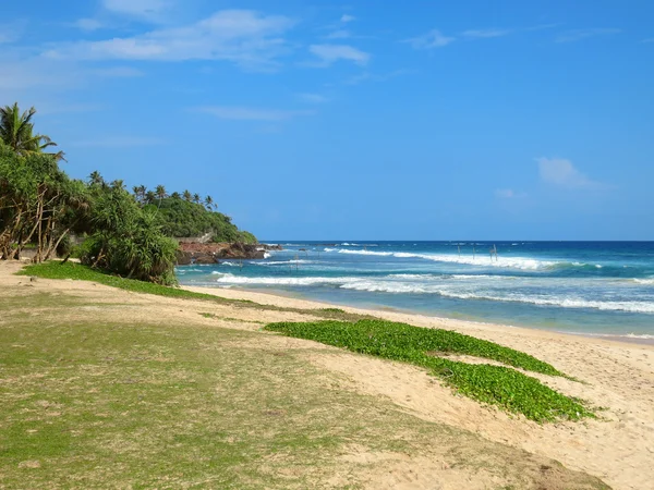 Verdes na praia vazia em Weligama Bay, Sri Lanka — Fotografia de Stock