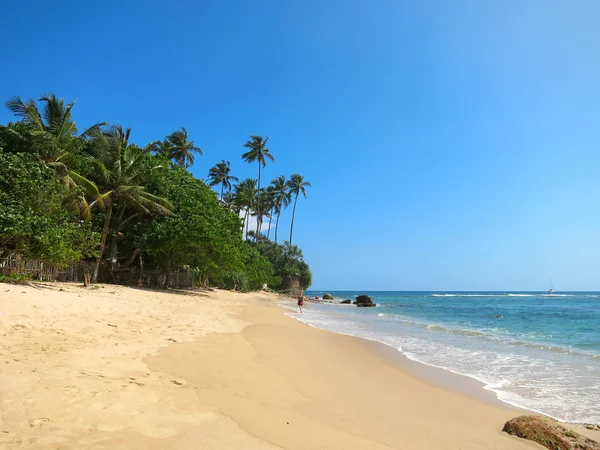 Palmeiras verdes na praia vazia em Weligama Bay, Sri Lanka — Fotografia de Stock