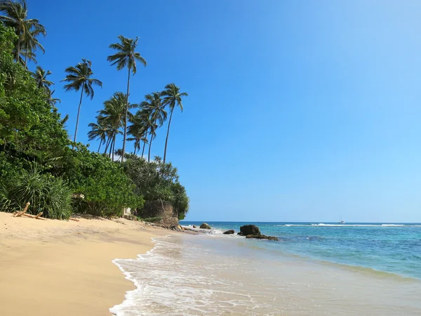 Palmeiras verdes na praia vazia em Weligama Bay, Sri Lanka — Fotografia de Stock