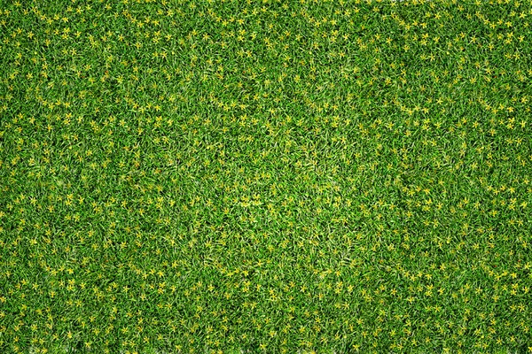 Πράσινο Γρασίδι Υφή Φόντο — Φωτογραφία Αρχείου