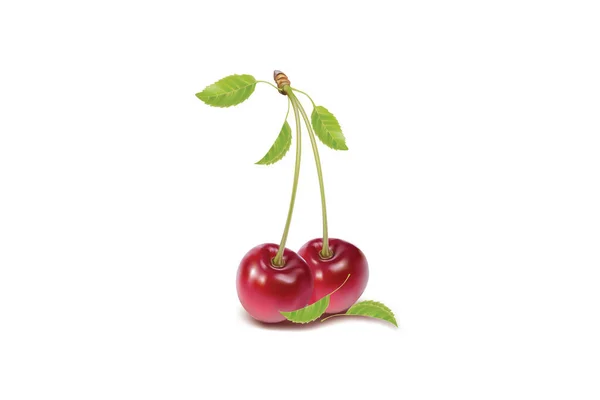 Red Cherries Green Leaves Isolated White Background — Foto Stock