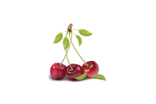 Red Ripe Cherries Leaf White Background — Stock Fotó