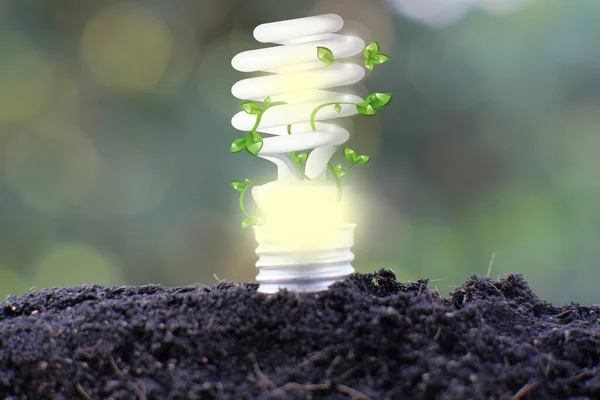 Light bulb save world and business growth concept