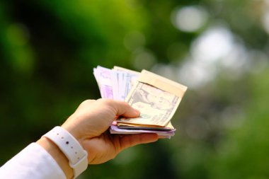 Yeşil arka plan ve tasarruf para ve iş büyüme kavramı, finans ve yatırım konsepti üzerine para