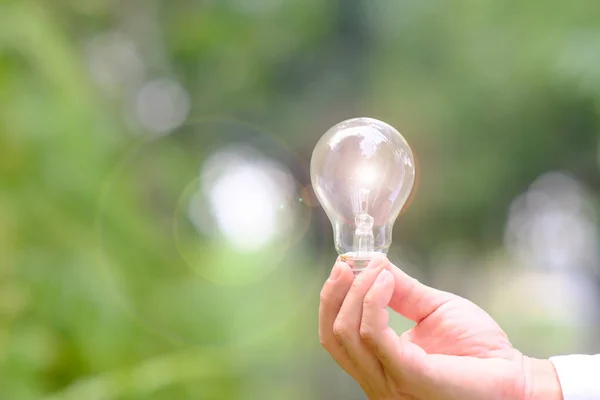 Hand holding energy saving light bulb and business growth concept,Creative new idea
