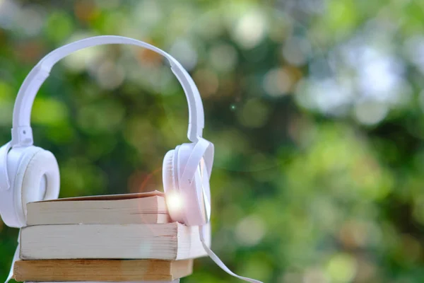 Educación Aprendizaje Biblioteca Pilas Libros Mesa Espacio — Foto de Stock