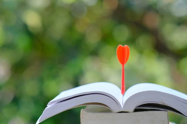 Livro Sobre Fundo Bokeh Verde Conceito Aprendizagem Educação — Fotografia de Stock