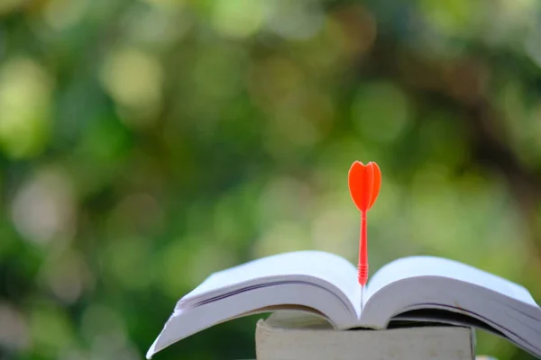 Educação Aprendizagem Biblioteca Pilha Pilhas Livro Mesa Espaço — Fotografia de Stock