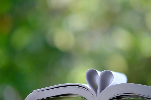 Educação Aprendizagem Biblioteca Pilha Pilhas Livro Mesa Espaço — Fotografia de Stock