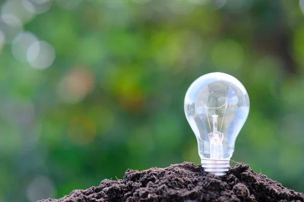 Lamp Soil Close View Environmental Concept — Stockfoto