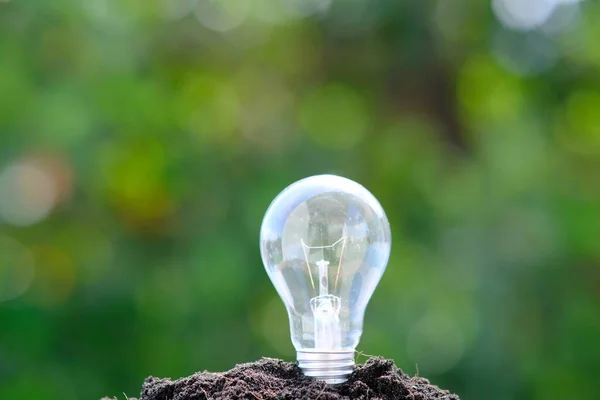 Lamp Soil Close View Environmental Concept — Stockfoto