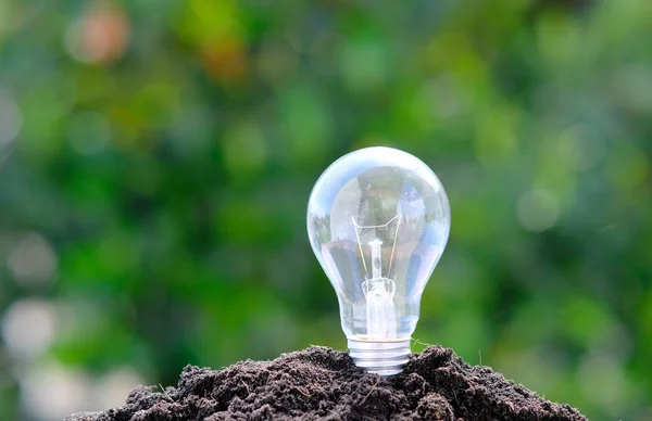 lamp and the soil close up view, environmental concept