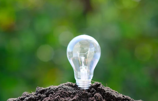 lamp and the soil close up view, environmental concept