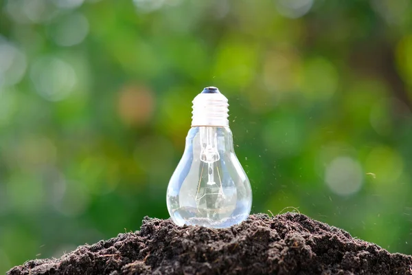 lamp and the soil close up view, environmental concept