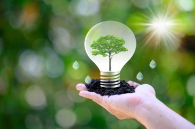 İnsan eli tutuşu enerji tasarrufu ampulü ve dünya konsepti, dünya çevre günü konsepti, dünya ve iş ekonomisi kavramı